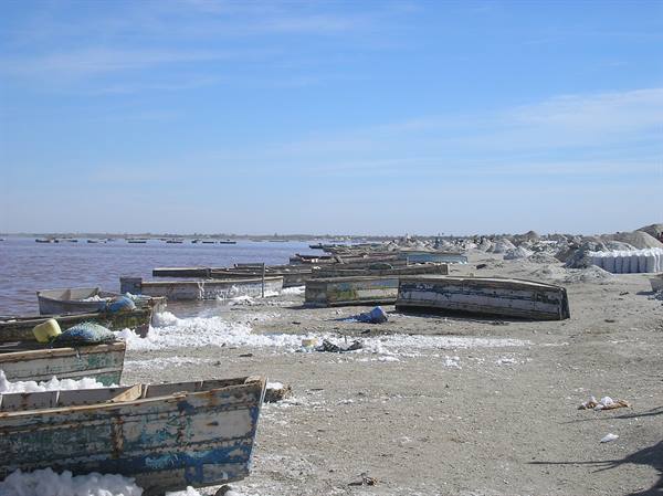 Weathered wooden boat stranded on the salty pink lake shore