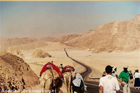 valley of the gazelles