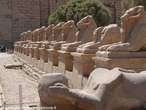 sphinxes