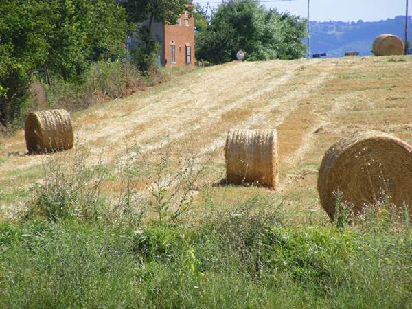 Umbrian countryside
