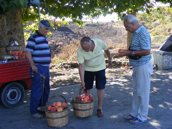 buying and selling peaches in moio alcantara