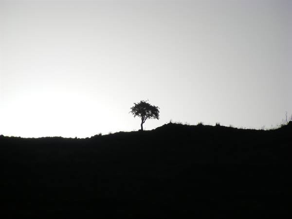 solitude in quadisi