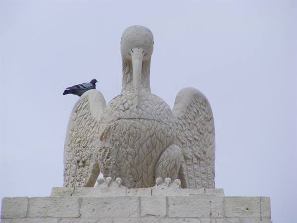 pelican-porta reale.noto