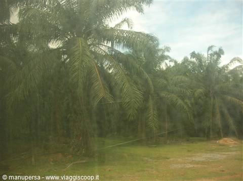 Malaysian panoramas