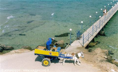 The Bravo jetty with the little donkey