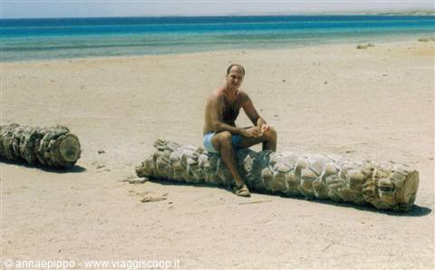 Robby at Awlad Baraka