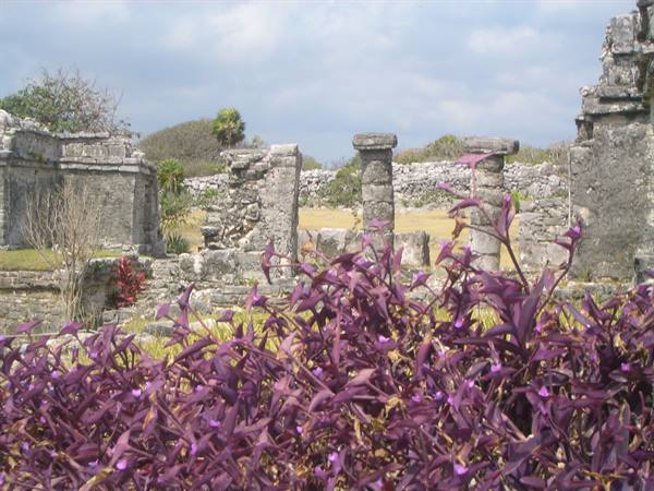 Ruins at Tulum