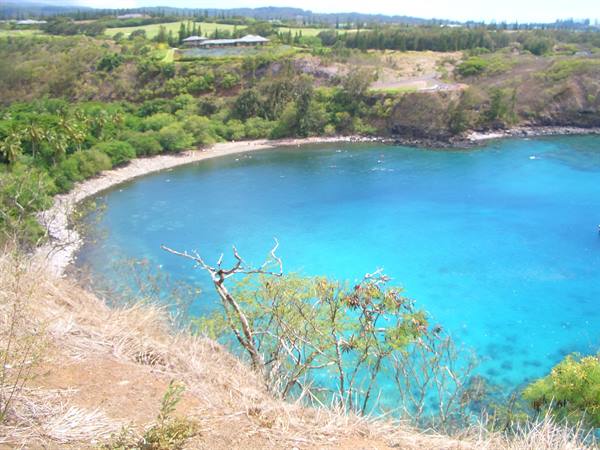 Hanauma Bay, Oahu: white sand beach and turquoise water among greenery