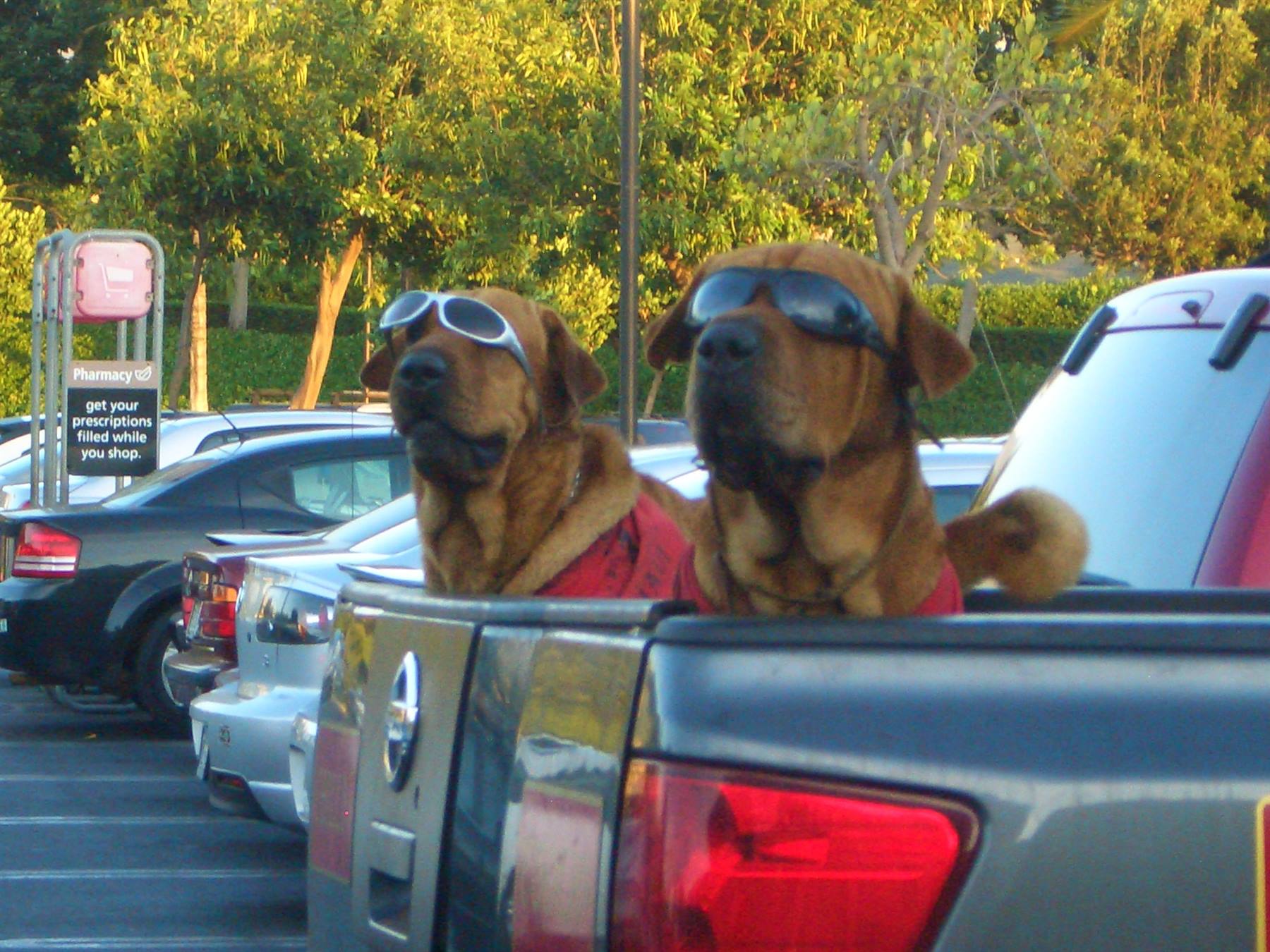I SWEAR THEY'RE REAL