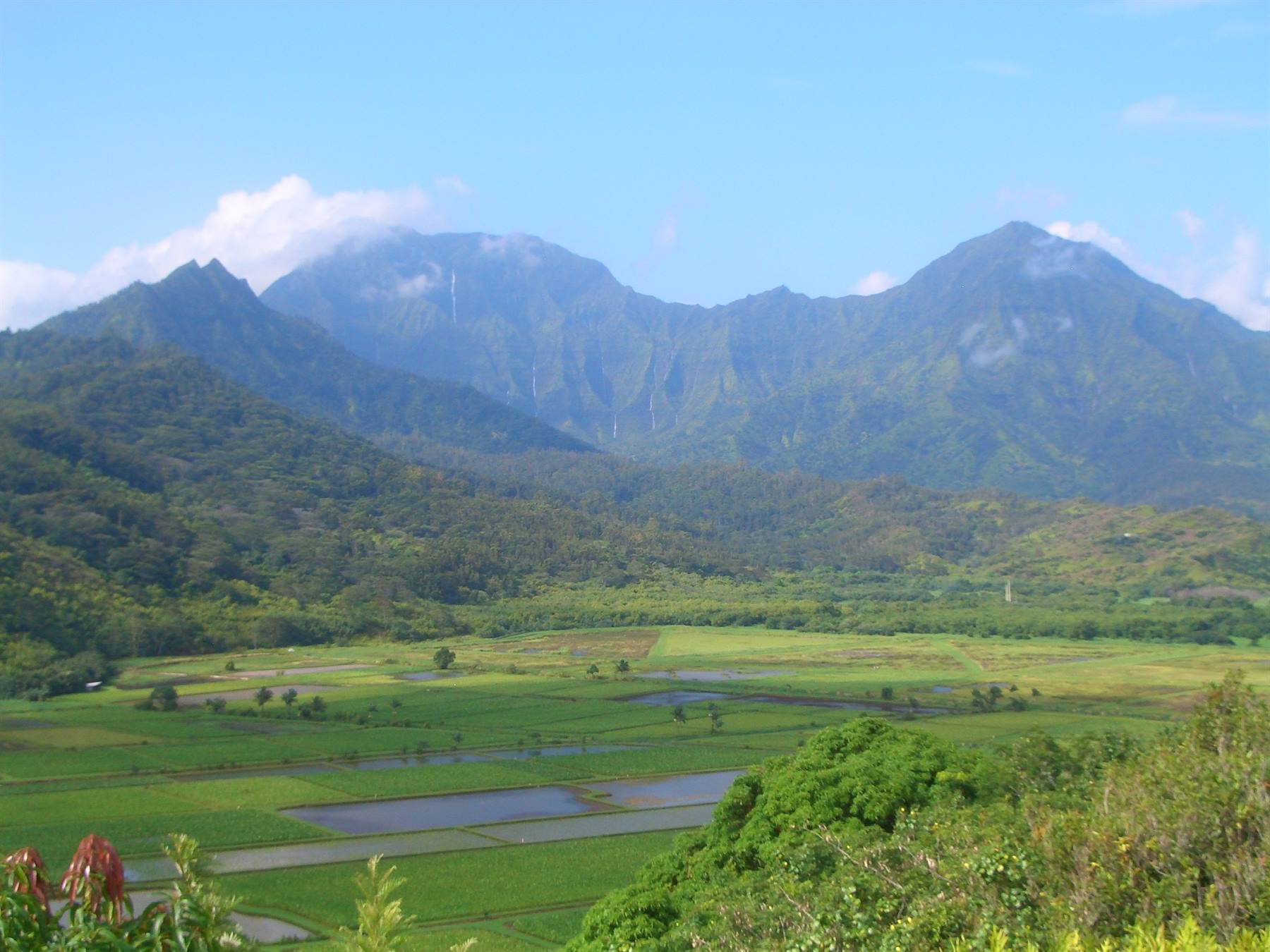 Flooded taro fields in Hanalei, Kauai, beneath green mountains with clouds