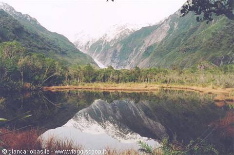 Lake reflecting snowy peaks among forests, Franz Josef Glacier
