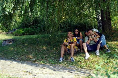 Young group sitting in the shade of a willow in a green park