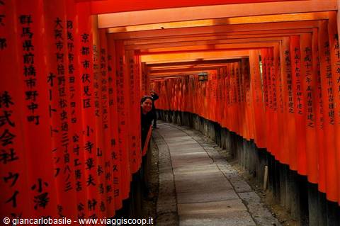 A tourist peeks between the orange torii gates of Fushimi Inari shrine, Kyoto