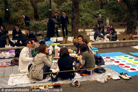 Picnickers on tarps and mats in a Tokyo park during hanami