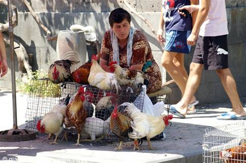 Woman selling roosters and hens in wire cages outdoors, people passing by