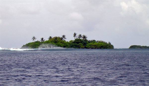 Small tropical island with palm trees, waves breaking on the reef