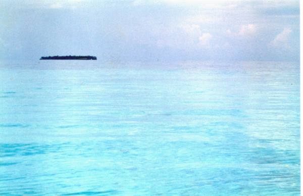 Small green islet in a turquoise sea under a cloudy sky