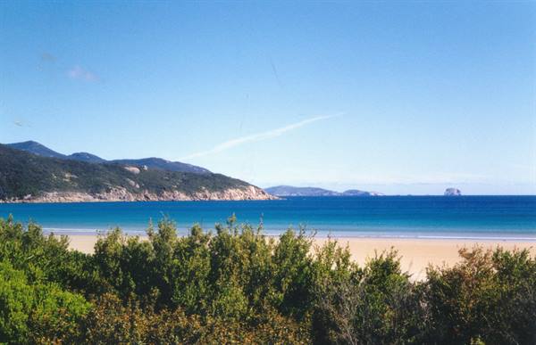 Golden sand beach, green bushes and turquoise sea under blue sky