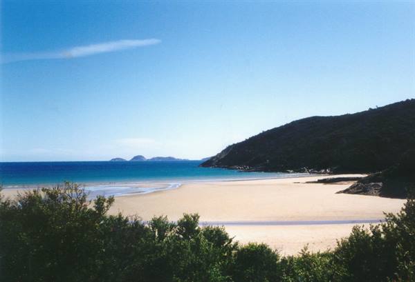 Pale sandy beach framed by green bushes and a hill, turquoise sea, small islands