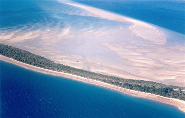 Turquoise sandbanks around a narrow green tree-covered spit