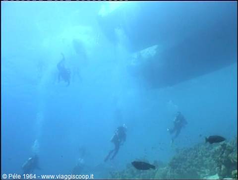 Divers swim near a boat in blue water with fish