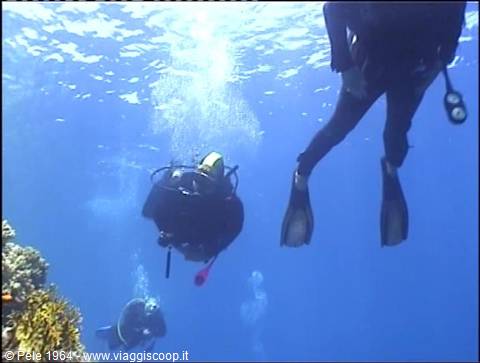 Scuba divers in full gear swim near coral in blue water