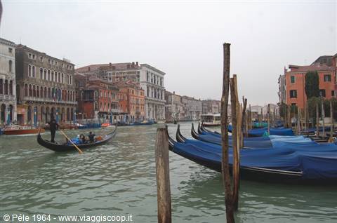 Blue-tarped gondolas moored on Venice Grand Canal, historic palaces and a gondolier