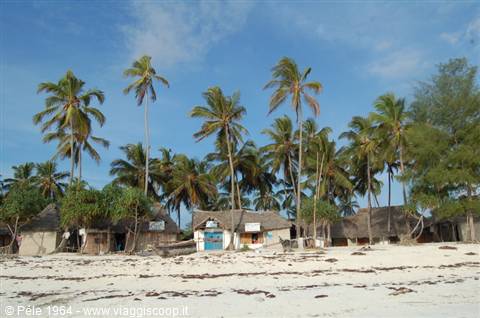 beach at the Karibu