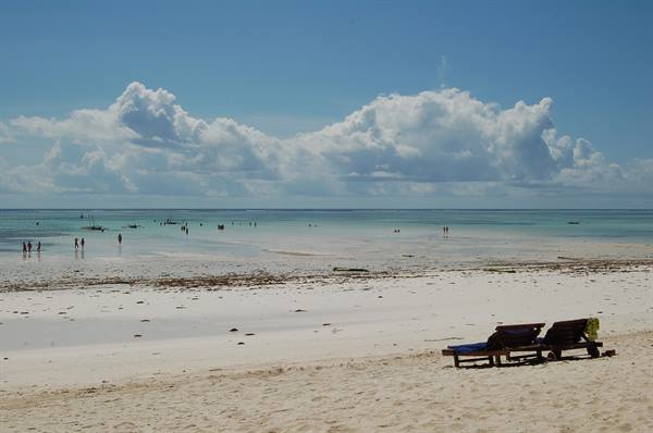 low tide