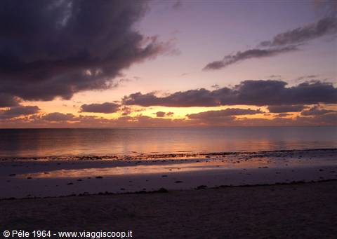 dawn