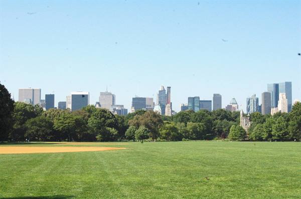 Central Park's Great Lawn, green grass with Manhattan skyscrapers and Belvedere Castle