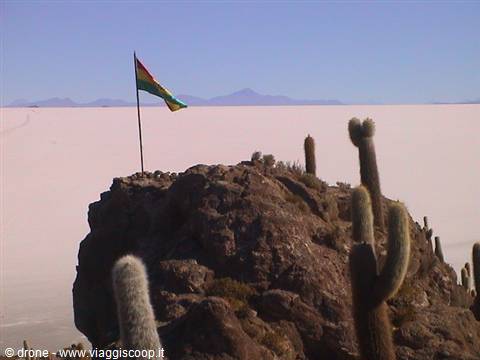 Tricolor flag on rocky outcrop with cacti, Salar de Uyuni, Bolivia