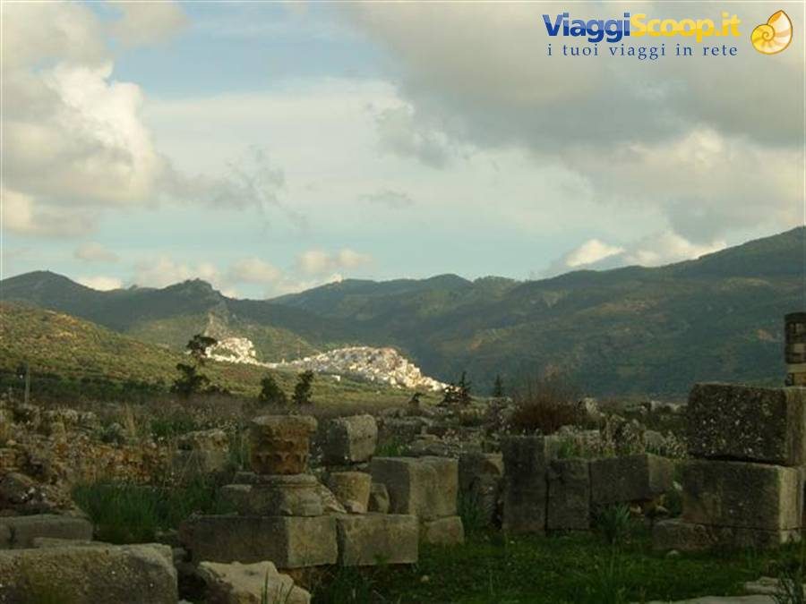 Roman ruins of Volubilis, stone columns, with Moulay Idriss in the hills