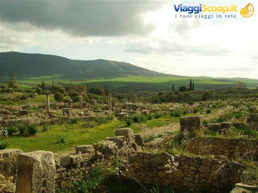 Roman ruins of Volubilis among green fields and hills, stone columns and walls