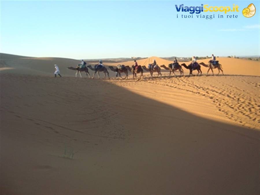Camel caravan carrying tourists across the sandy dunes of the Sahara, Merzouga