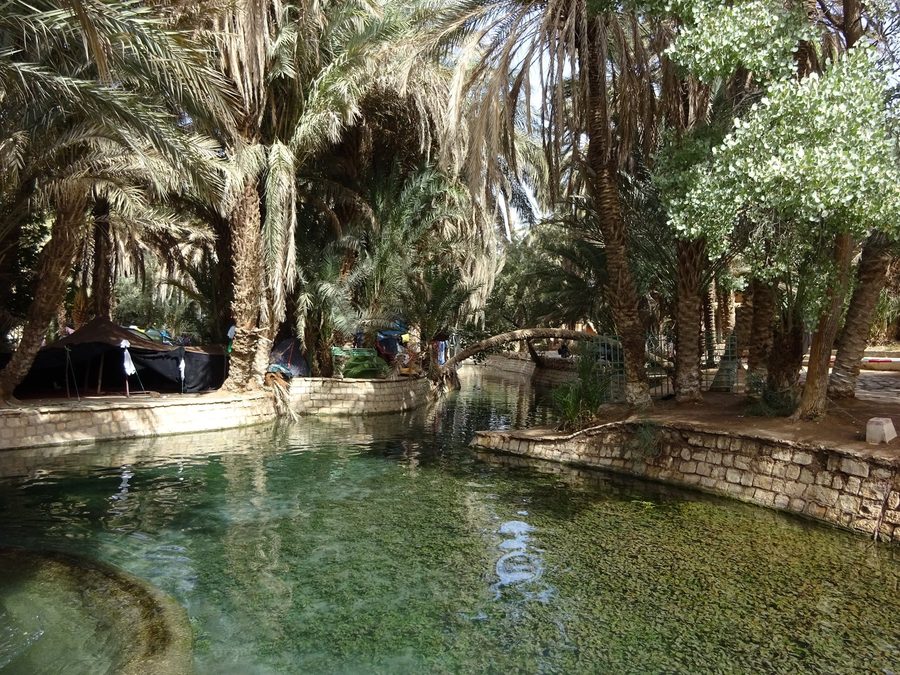 Clear pool among date palms and stone walls, Skoura oasis