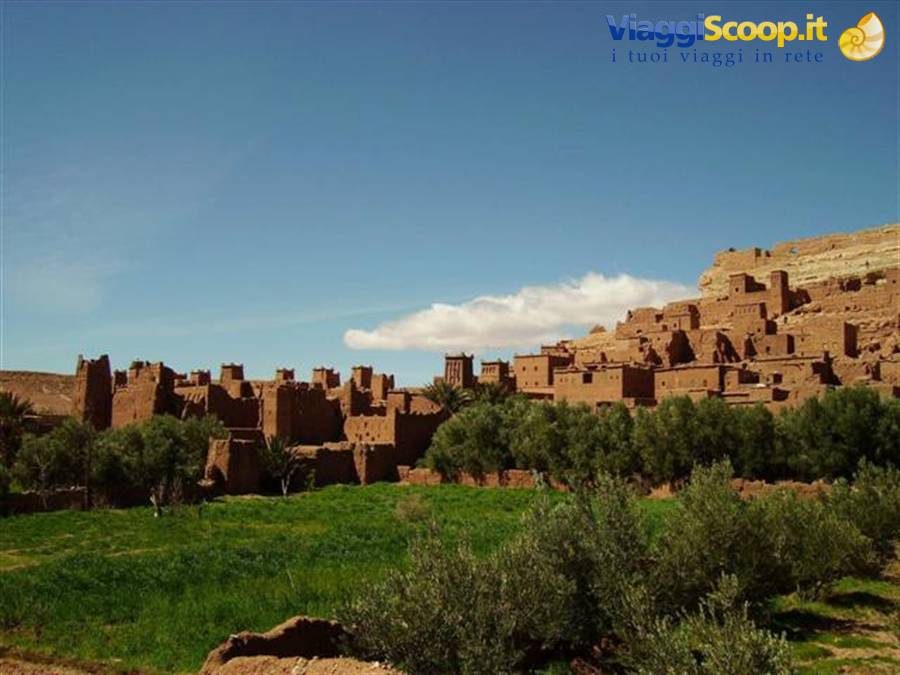 Ait Benhaddou, mud-brick buildings under blue sky, green olive trees in front